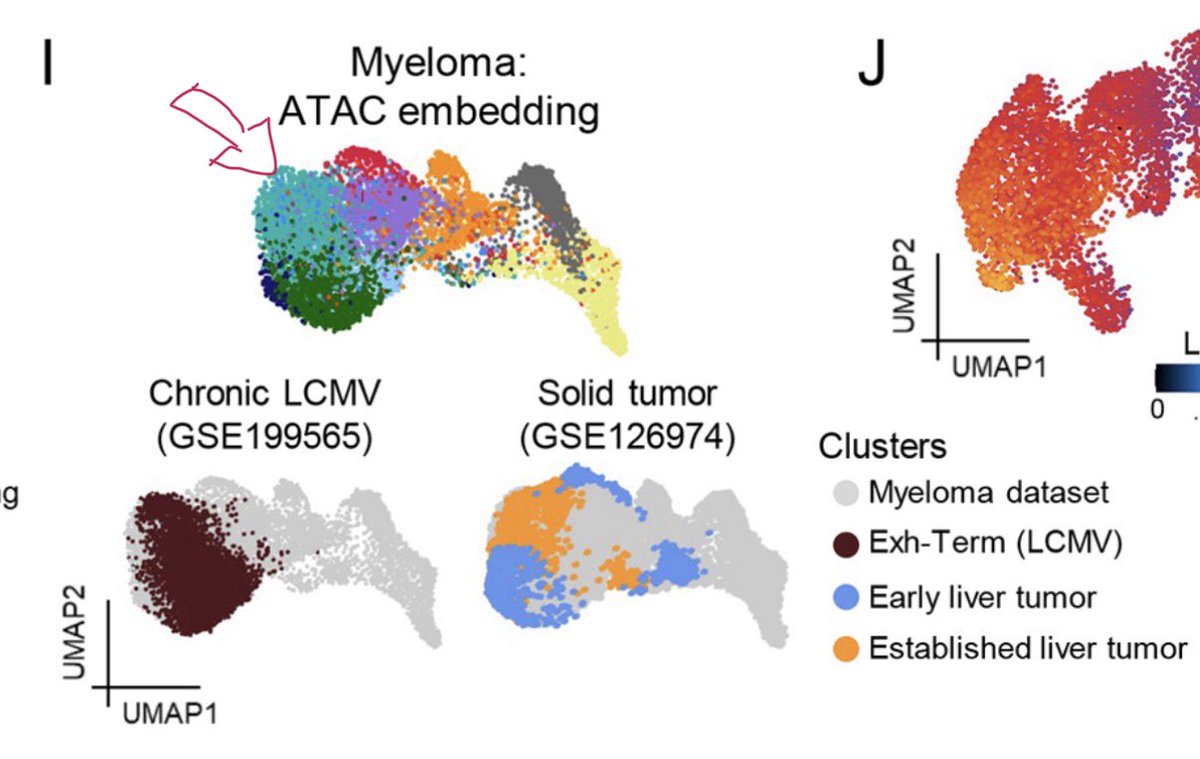 Simone Minnie tweet media