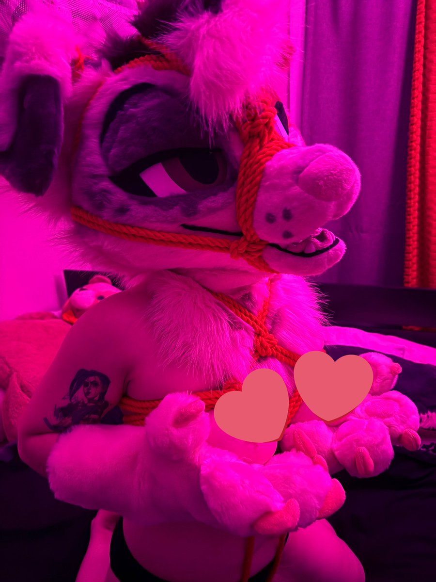 The Midnight Howl tweet media