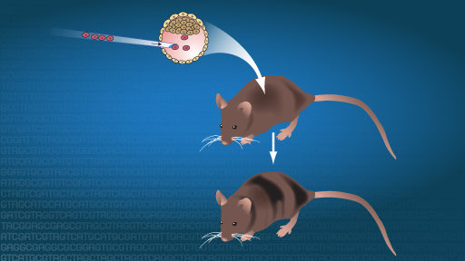 Parmita Mishra tweet media