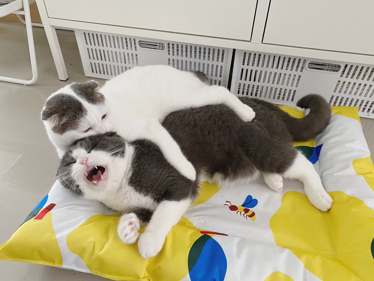 <a href="/jiewliewnjiggo/">.jgj</a> อาจเป็นตอนนี้ฮะแม่ แม่ช่วยโก๋ด้วยยยยย