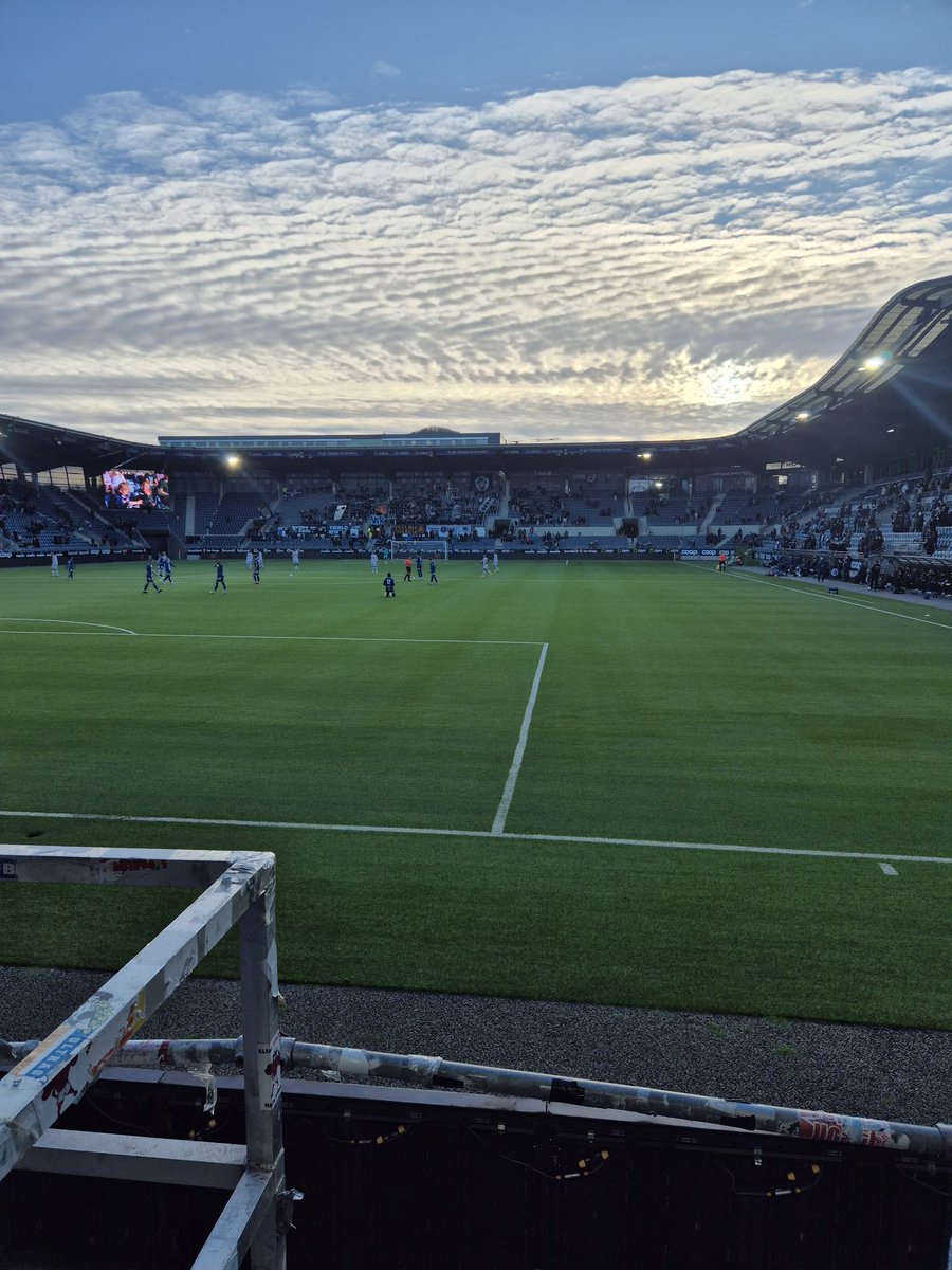 Sort viking tweet media