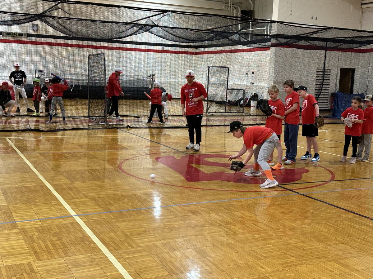 Lake Shore Baseball tweet media