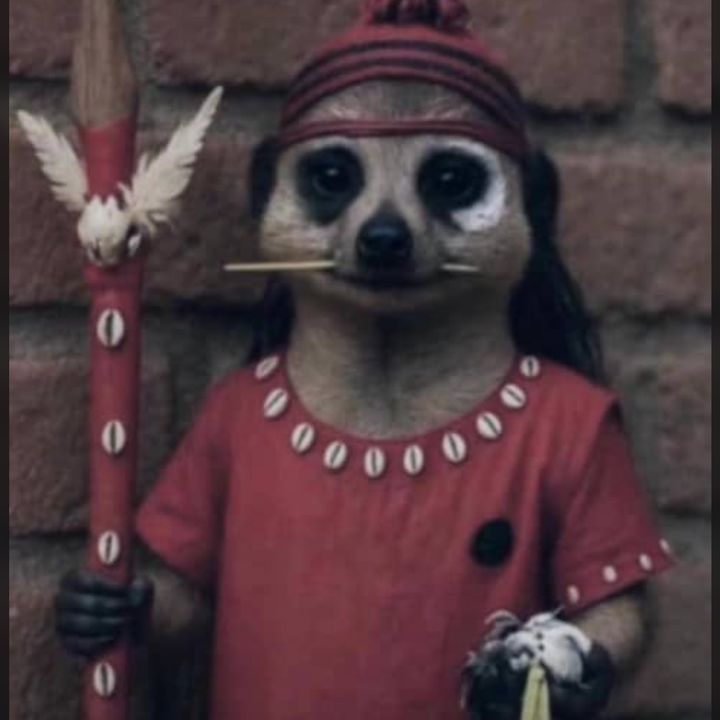 If this shows up on your timeline, let’s connect. 🤝🏾
I connect back immediately. 🫶🏾
Help RT. 🙏🏾