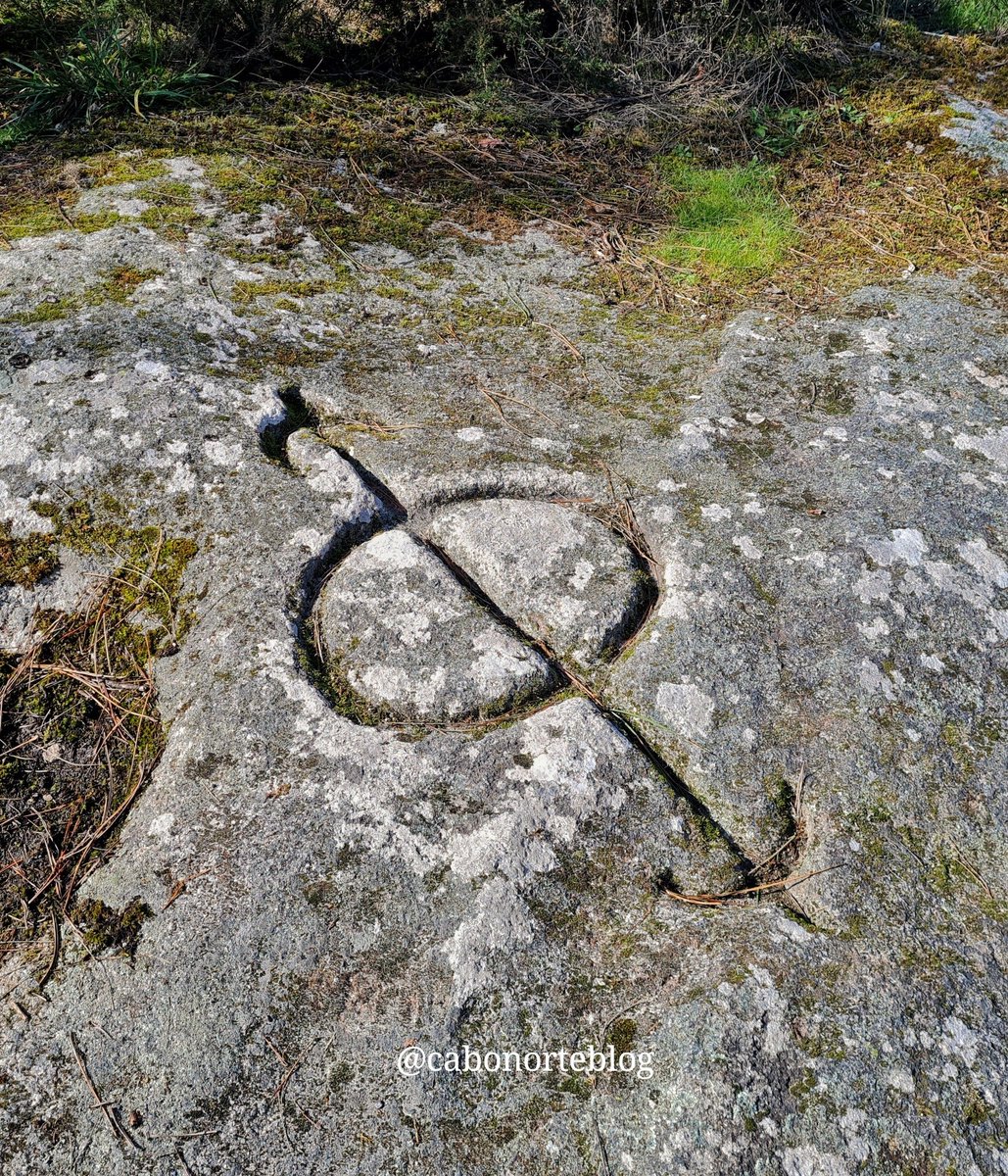 cabonorteblog tweet media