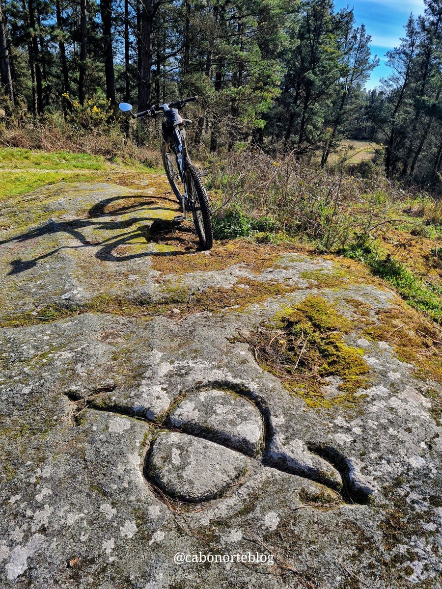 cabonorteblog tweet media