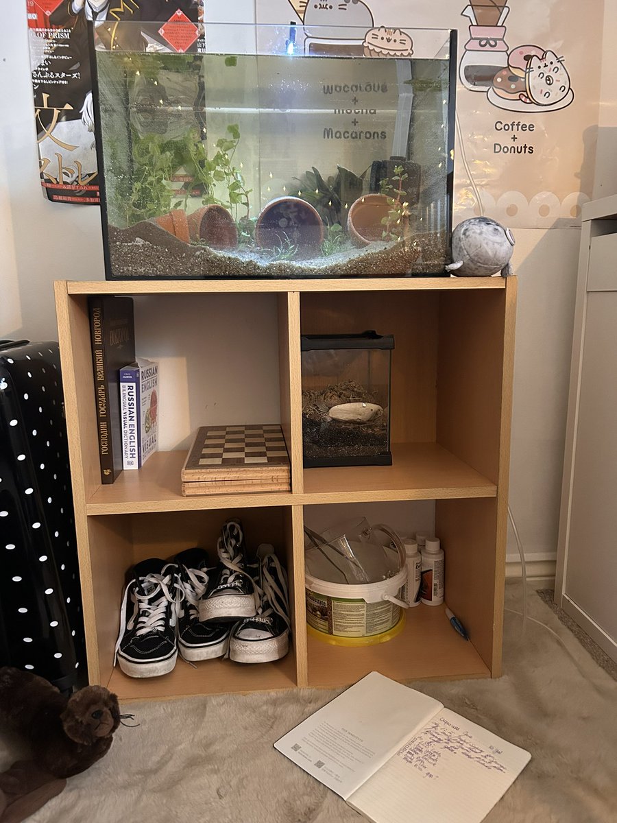 Fish tank is coming along okay,,, anyone want progress thru the month i also have a list of things i want to do