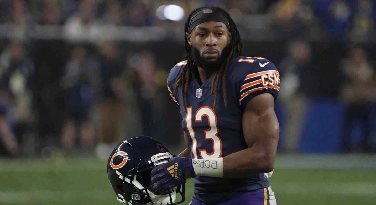 BearsMuse tweet media