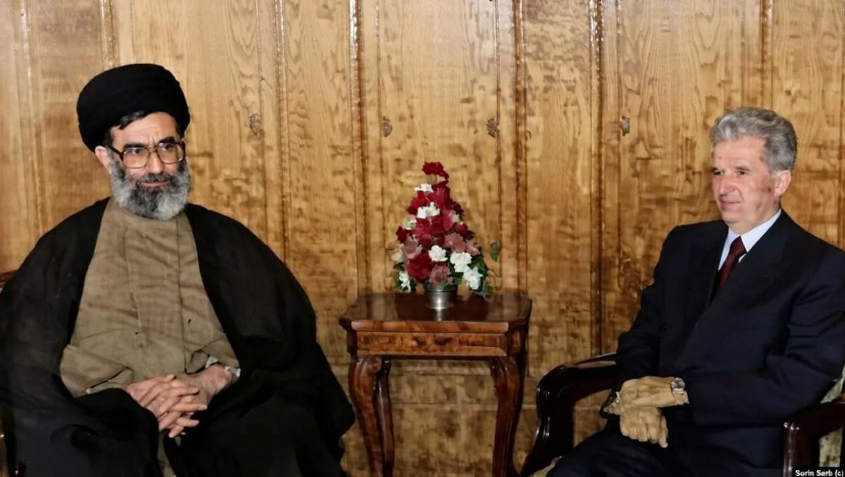 Lily Lynch tweet media