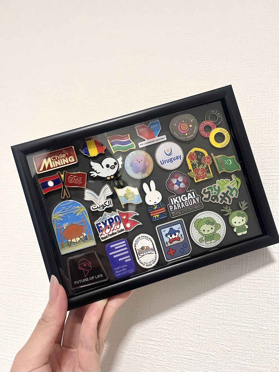 do123456789dodo いのちの未来ピンバッジ良いですよね✨️ 閉幕日に