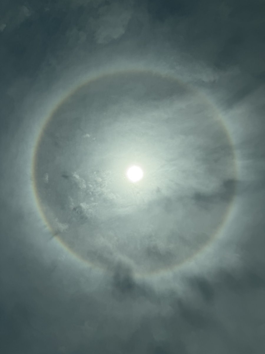 Niels Olsen tweet media