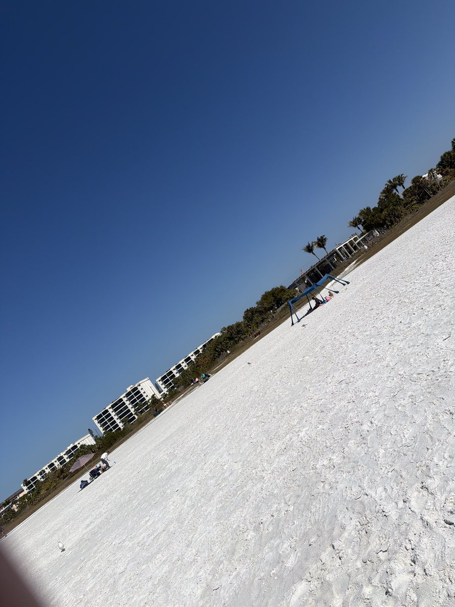 Kari Mirabal tweet media