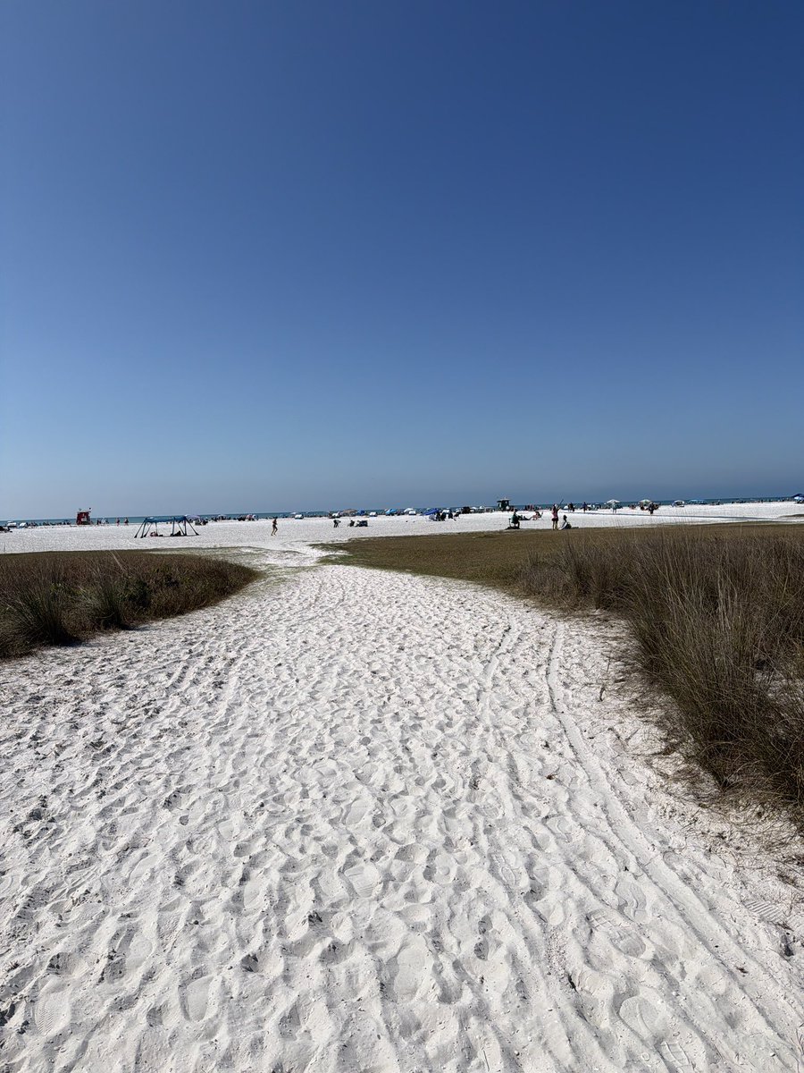 Kari Mirabal tweet media