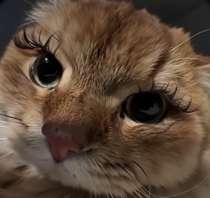 Rimeli güzel sürünce hissettiğim