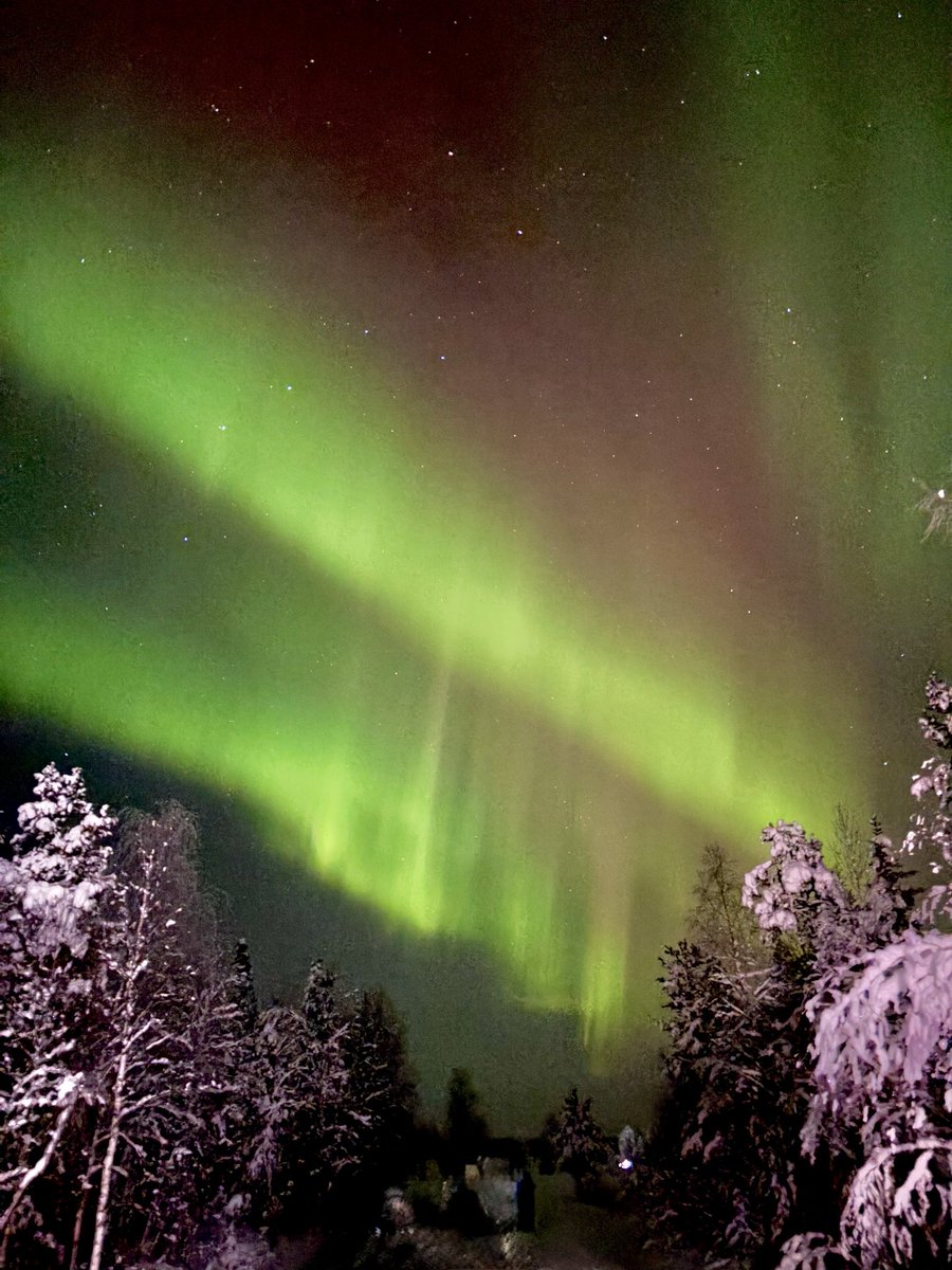 Itzel Trueba tweet media