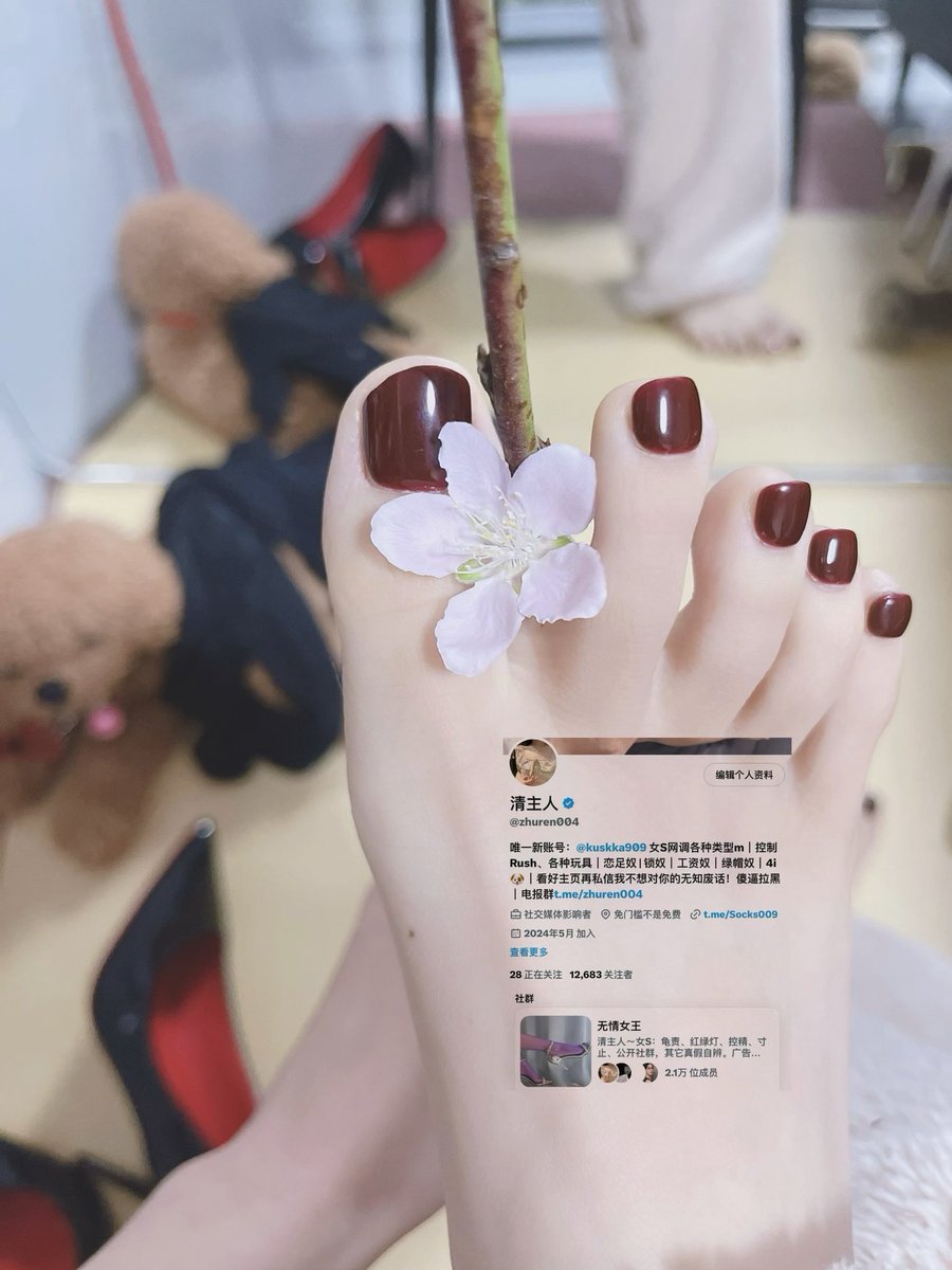 清主人 tweet media