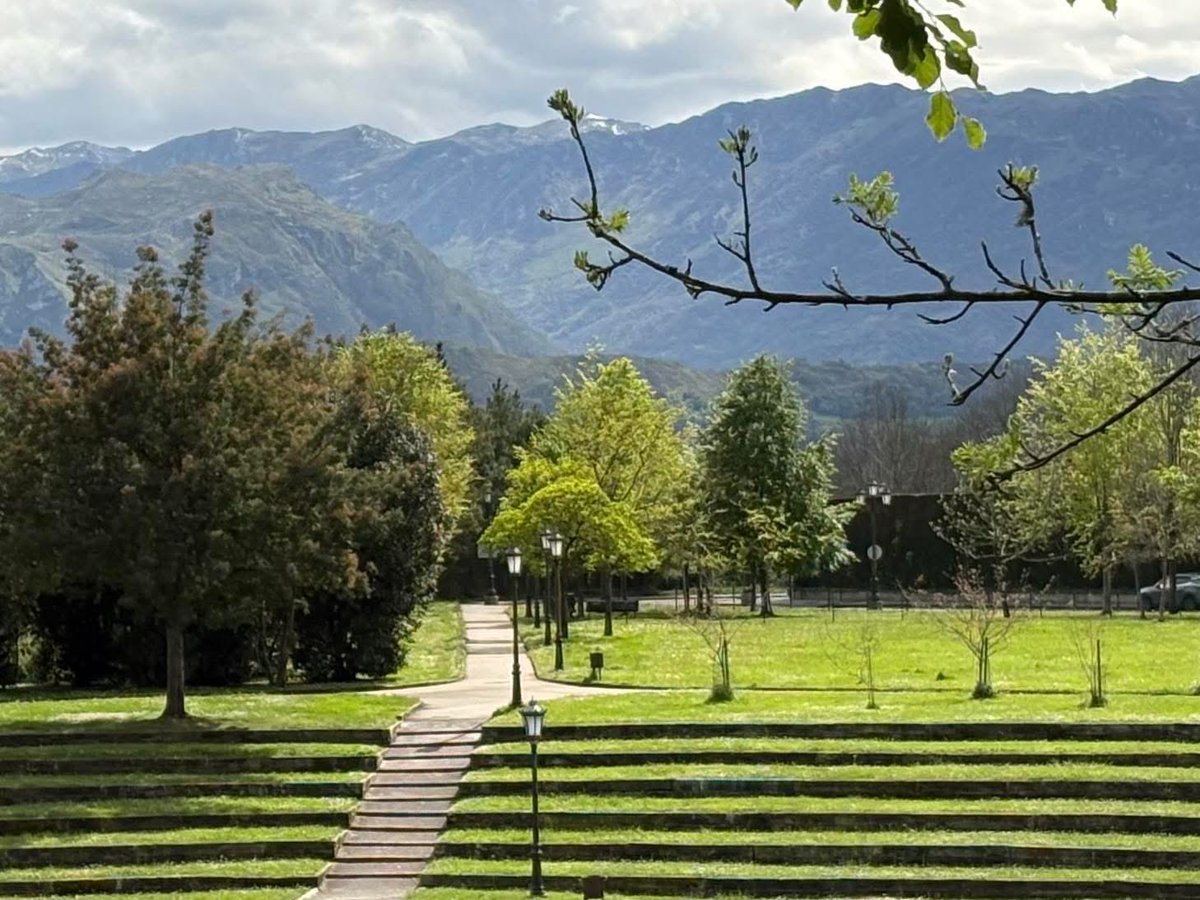 AzulVetusta tweet media