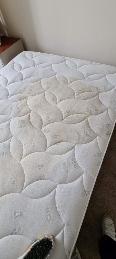 elycleaning's tweet photo. Honest approach to mattress cleaning.
​We’ve just updated our blog with a new guide on mattress cleaning and sanitisation.
​At Ely Cleaning Services Ltd, we believe in being upfront with our customers. In the post, we explain:
​Hygiene vs. Stains.
https://t.co/KCZe6eAoIc https://t.co/9NMFUMP7G8