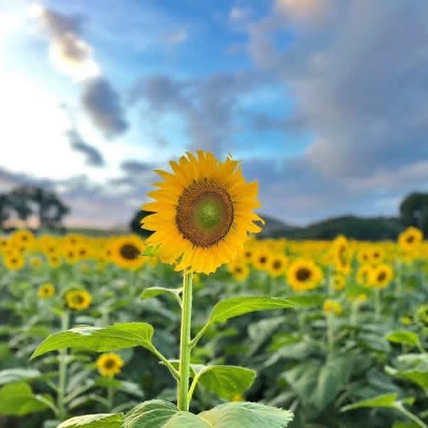 KimbroughD80040's tweet photo. #NewProfilePic https://t.co/4U0WPiwICy
