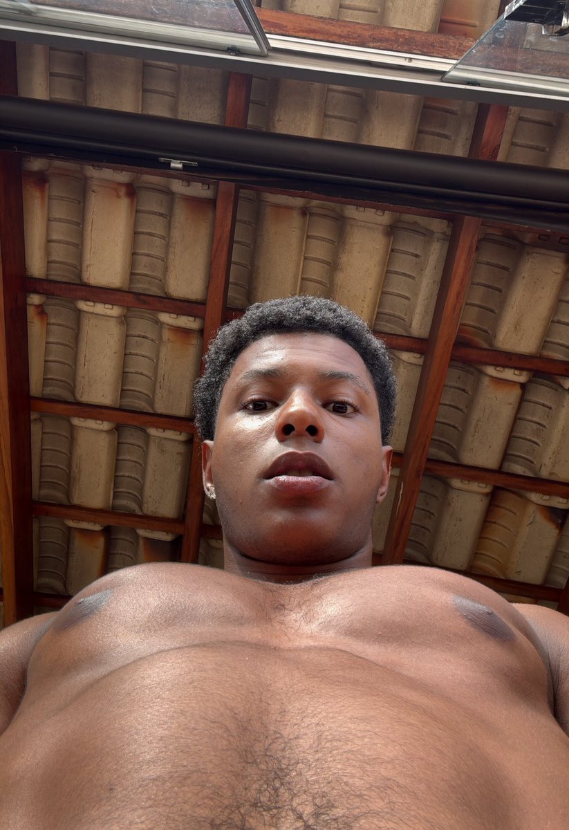 vecc 🐿️ tweet media