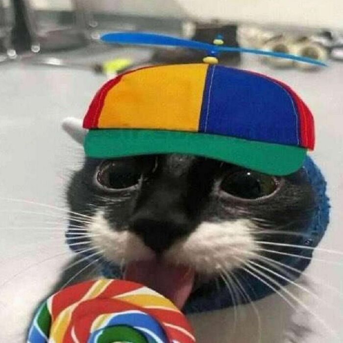 El_byron_ql tweet media