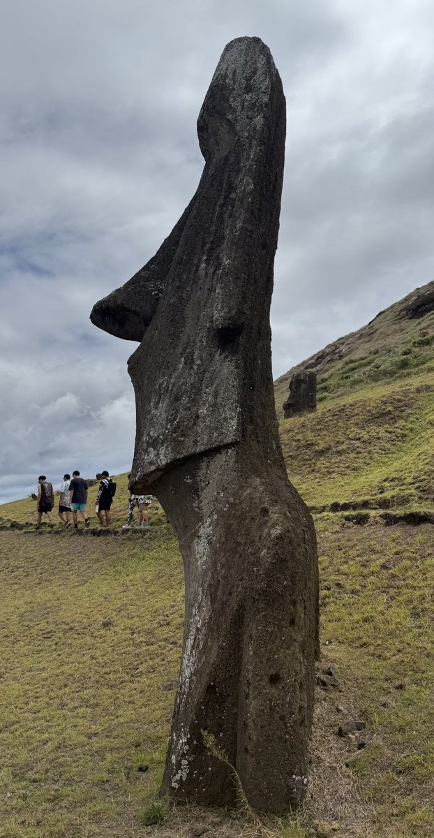 Paweł Czado tweet media