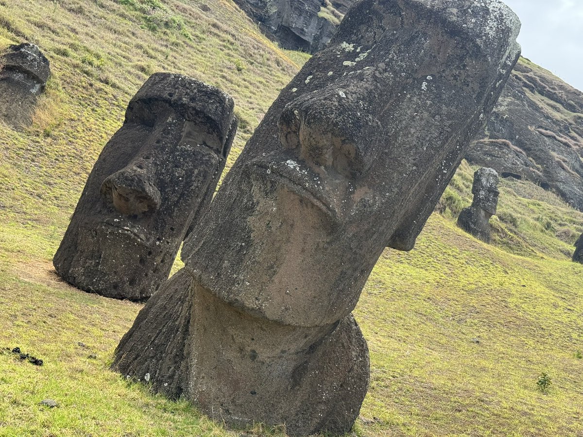 Paweł Czado tweet media