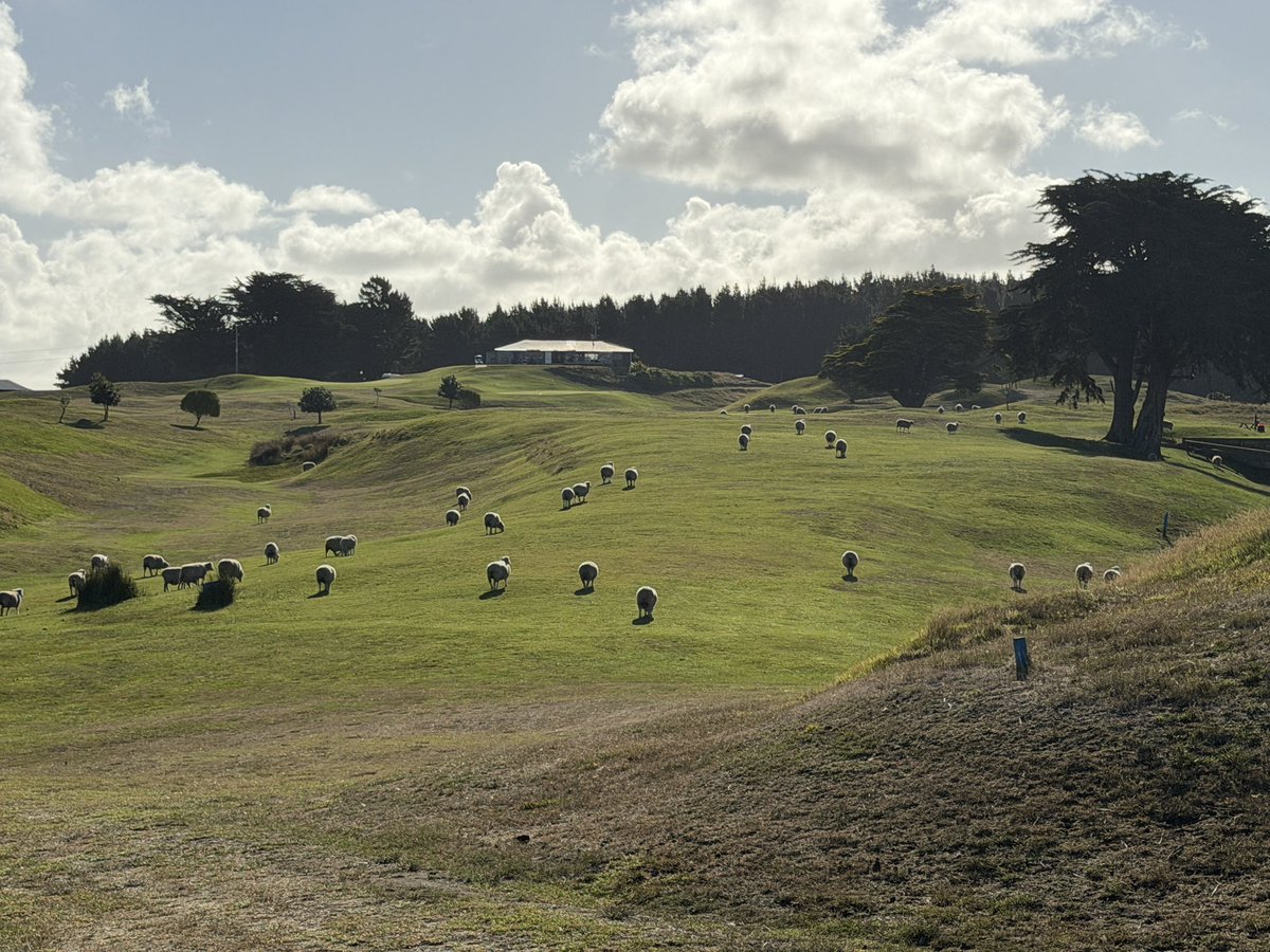 Jay Blasi tweet media