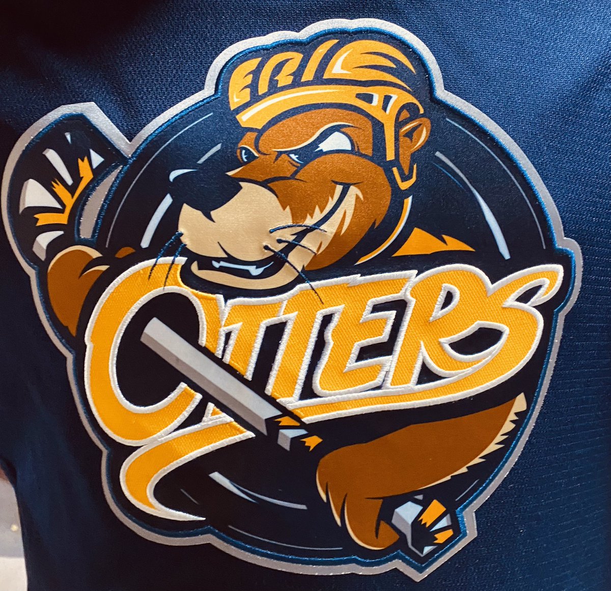 BayshoreFred's tweet photo. Since 1989 ( incl Playoffs ) @CityOwenSound #Platers-@AttackOHL &amp; #NFallsThunder-@ErieOtters have had 39 games decided by OT/SO. #Thunder-@ErieOtters are 23 &amp; 16 including 12 straight from Jan 31/96-Jan 9/09. @NewsBayshore https://t.co/jcuOMxwY5K
