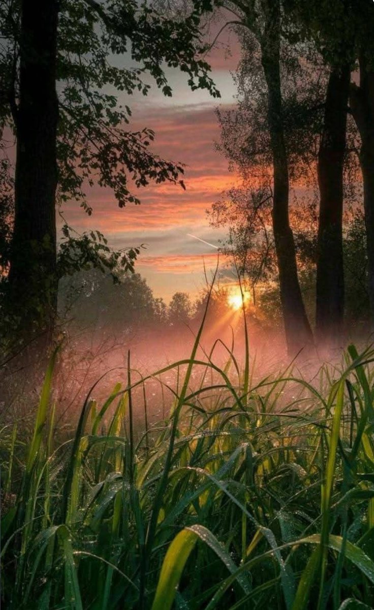 Soft and gentle Sunday morning to you!  Enjoy your day of rest. 🙏🙏🌷🌷