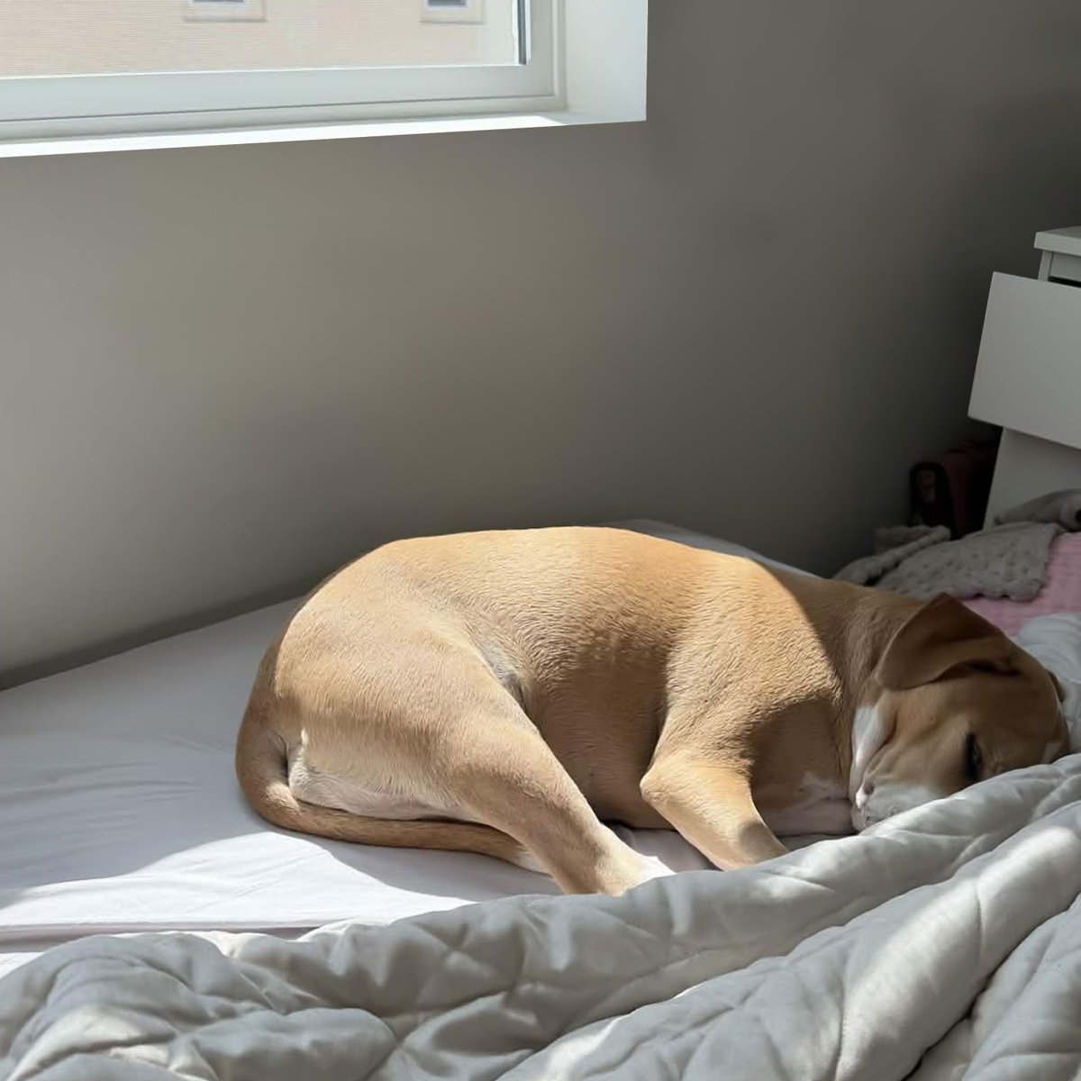 Paula ⸜( ´ ꒳ ` )⸝ tweet media