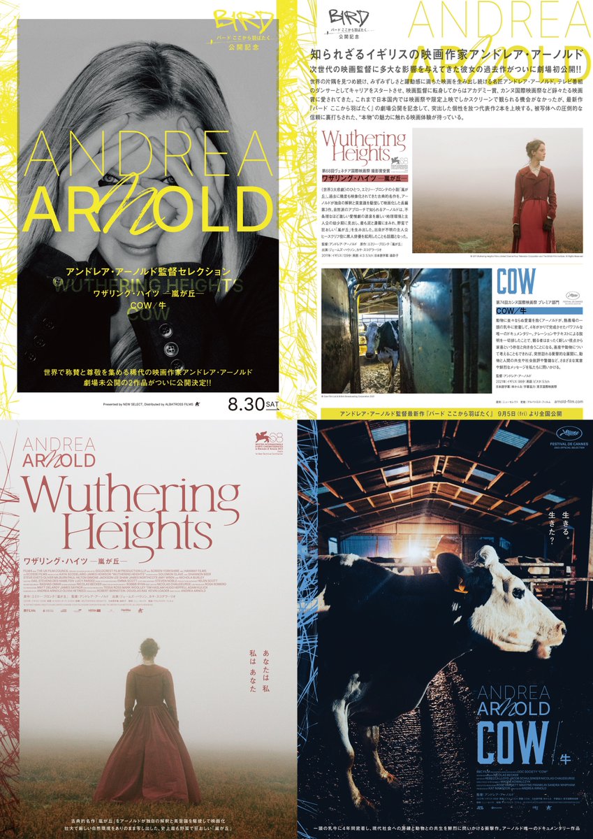megurocinema's tweet image. 【🐎上映決定②🐄】

𓊆 #アンドレア・アーノルド 監督セレクション𓊇

🗓️3/23㊊・26㊍・28㊏ 3日間上映

『#ワザリング・ハイツ ～嵐が丘～』

『#COW／牛』

🔔1本立て・指定席・WEB予約可
🎟️一般1500円/学生1200円/シニア1100円