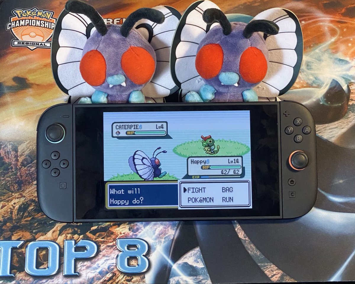 Phillip Wingett tweet media