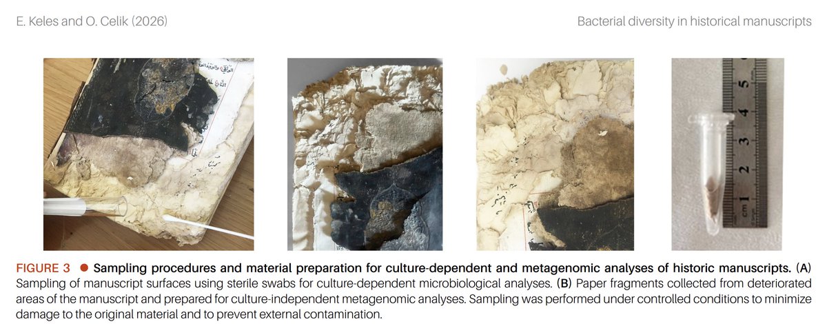 Microbial Cell tweet media