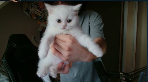 NAVI hiro tweet media