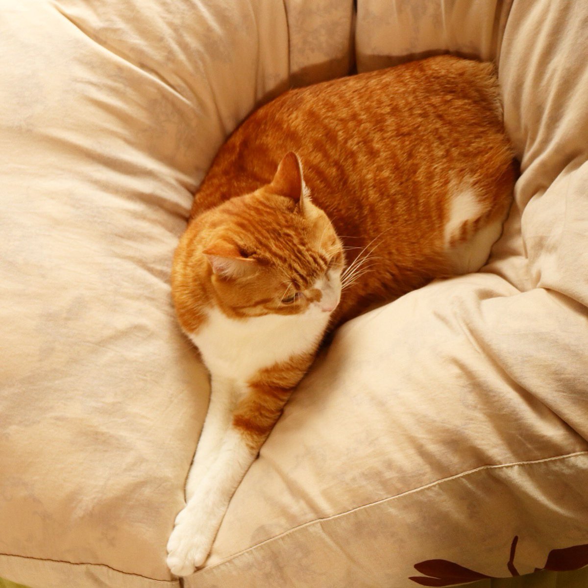 酒処 うりへい　南千住 tweet media