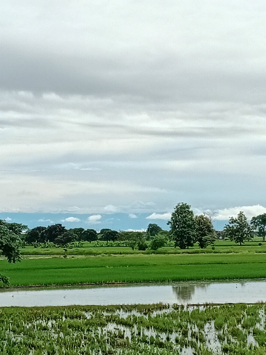 RommelYela's tweet photo. @RicardiniOrtiz @XavierCasal Lo vi también desde el Paso Lateral Daule - Nobol, después de las lluvias se descargan la nubes y no hay nubosidad. https://t.co/x01bwwU6We
