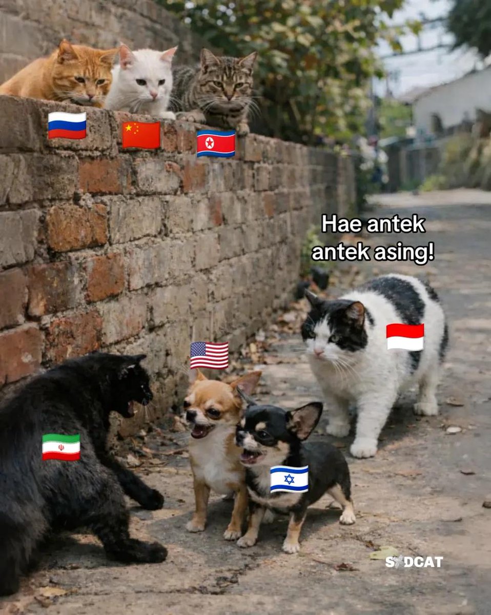 Situasi perang saat ini 🗿