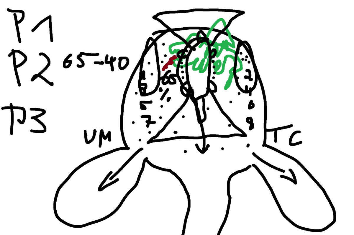 Hänno 🏳️🌈 #EINS tweet media
