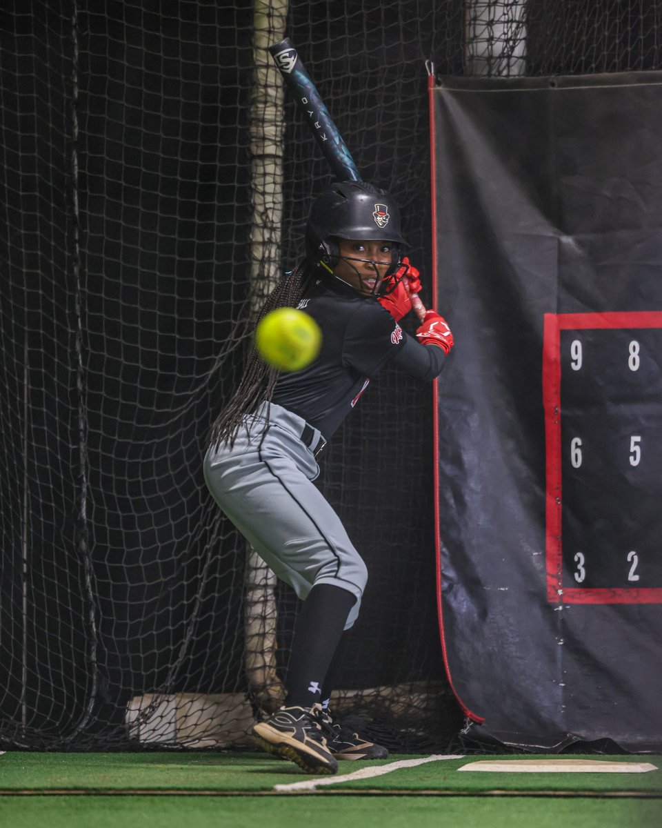 Austin Peay Softball tweet media