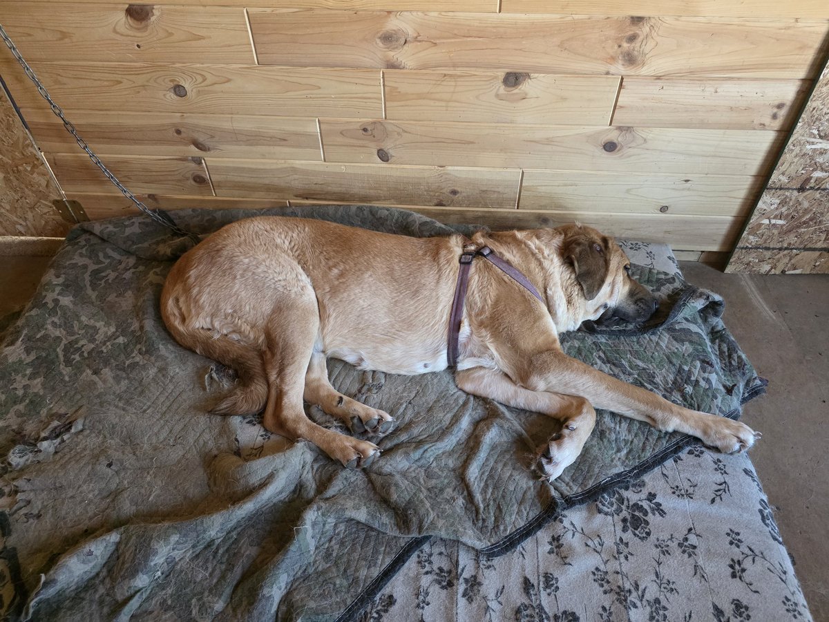 Krista🇺🇸 tweet media