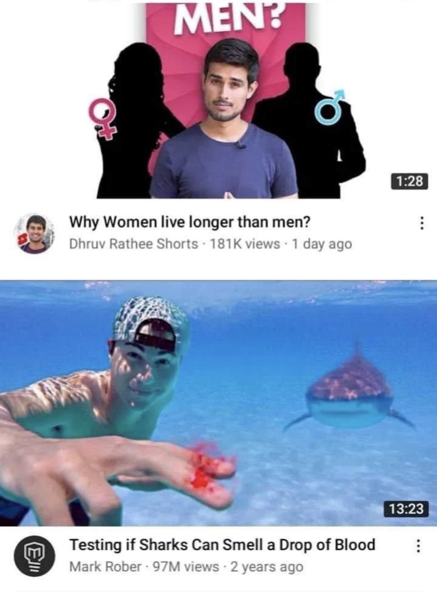 Out of Context Human Race (@nocontexthumans) on Twitter photo 