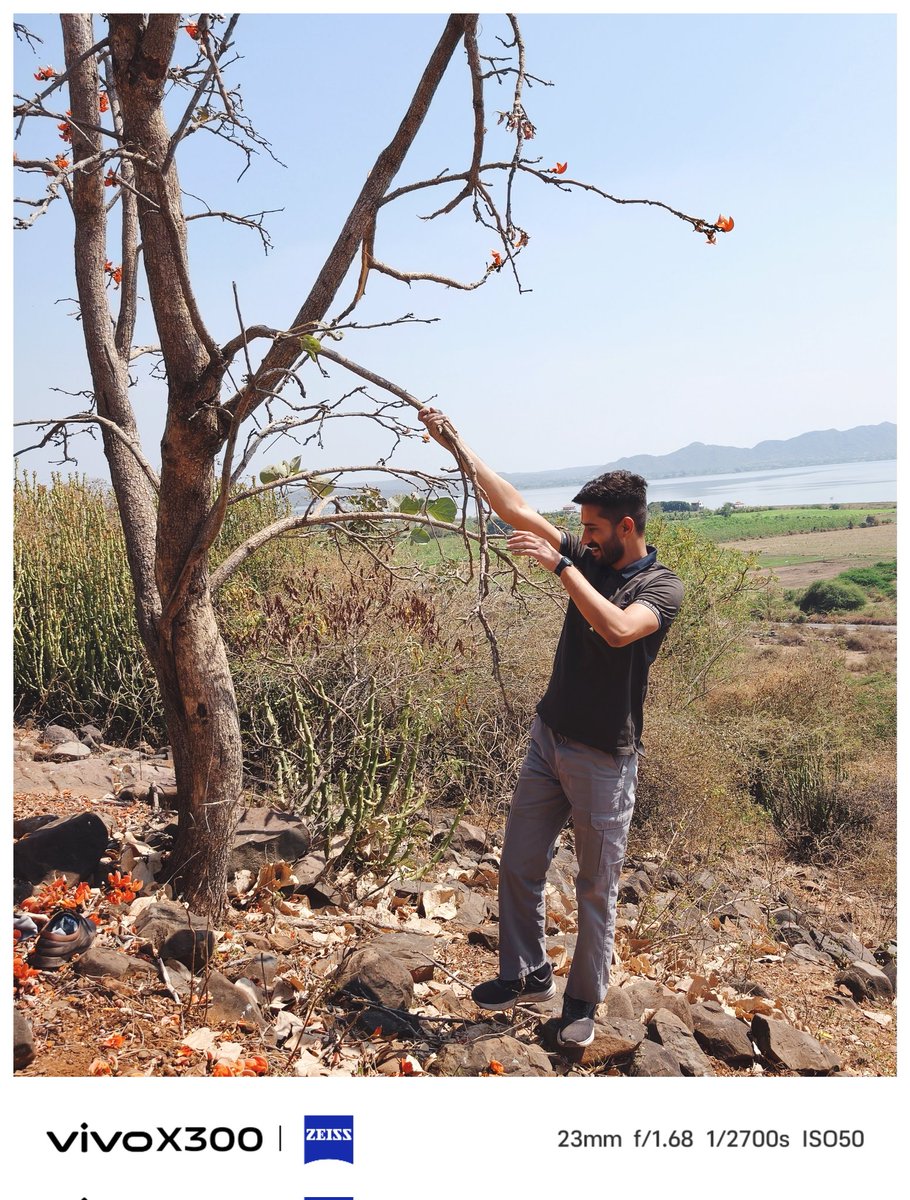 Arjunsinh Dodiya tweet media