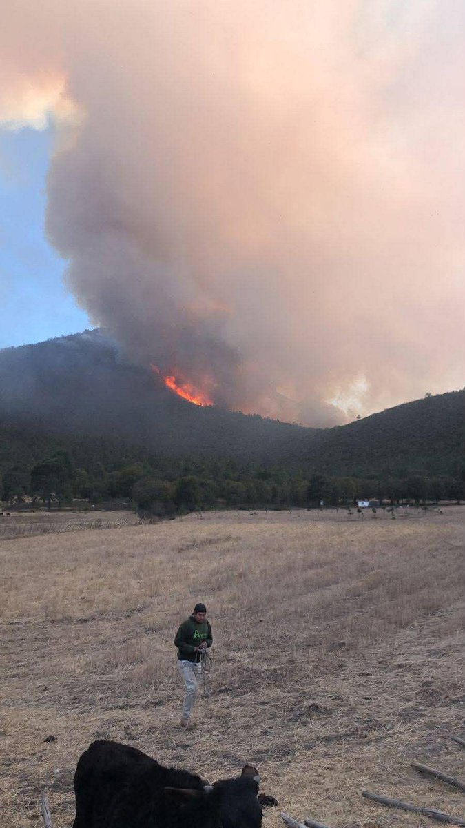 ExpresoPress's tweet photo. 🔥 De un día para otro, #Tamaulipas ya no aparece en el "Monitor de Tarjeta Diaria de Incendios" de la #CONAFOR, aunque un siniestro en #Miquihuana continua a gran escala y otro cerca del poblado Valle Hermoso.
En este reporte, solo se dejó de visualizar la Entidad como afectada, sin tener dato alguno del avance al control y liquidación de las llamas.
Así también, ya no hay información alguna sobre cuántos combatientes se encuentran en el lugar y cuál es la superficie afectada hasta el momento.
Por Antonio H. Mandujano