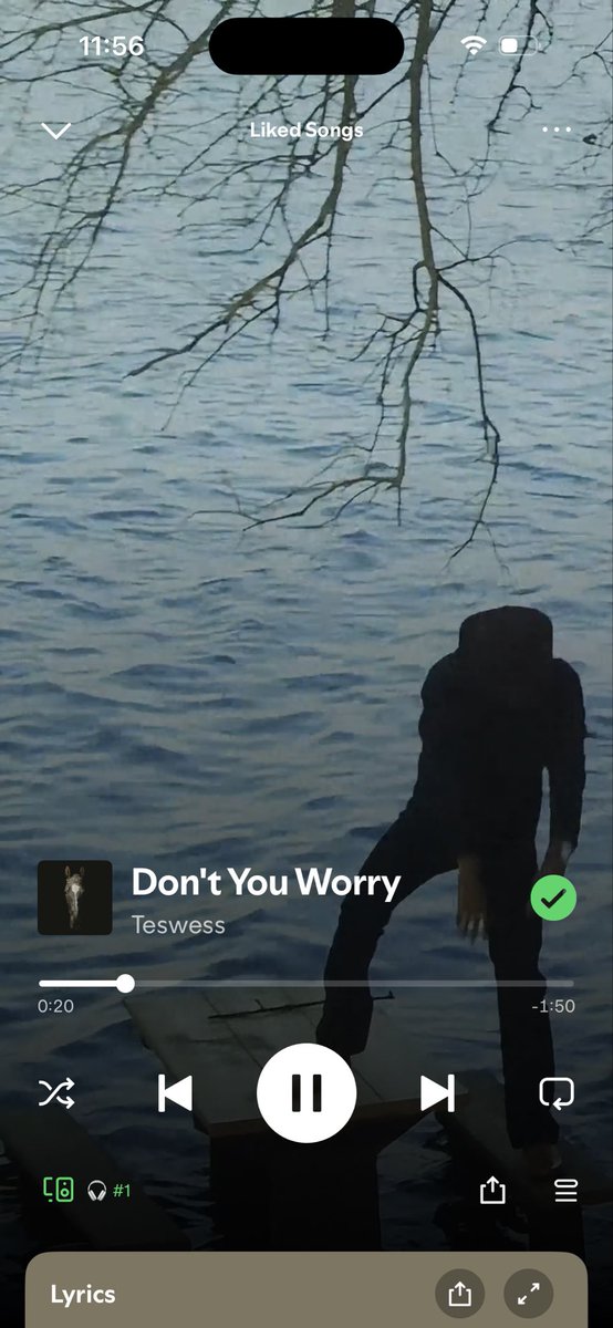 HAYTUNZ 💎 tweet media