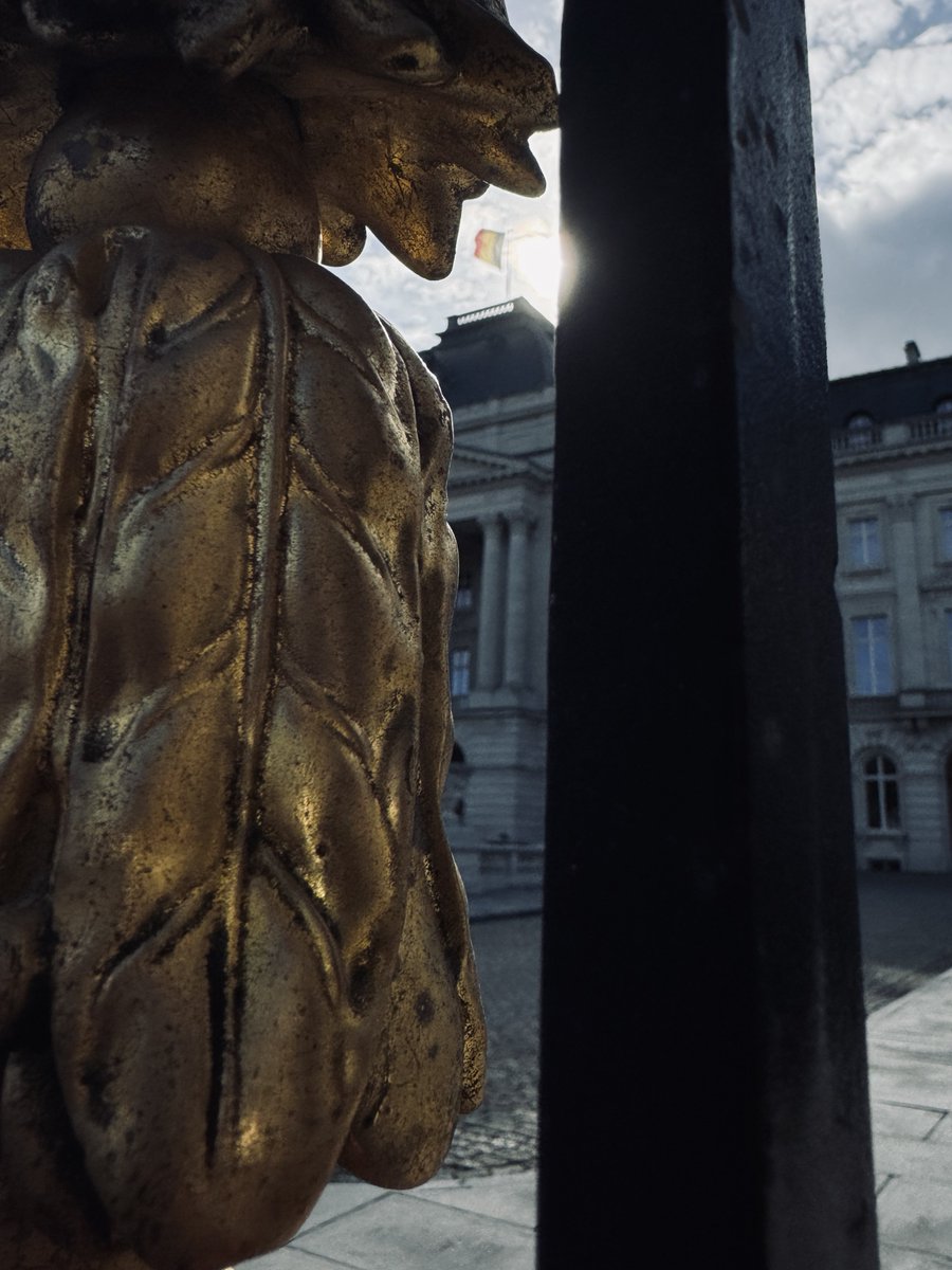 David Timmermans tweet media