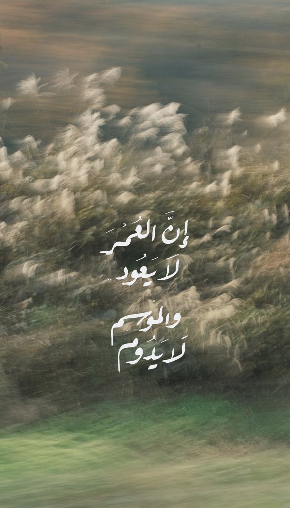 الأمجاد tweet media