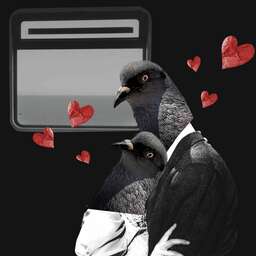 Thank you so much <a href="/mrbretjolliffe/">Bret</a> for collecting madame toaster, serigala and love birds 👏🥳🥰

Terima kasih my friend 🙏🥰