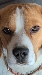 Der VAR hat was gemacht in der ersten Halbzeit.....