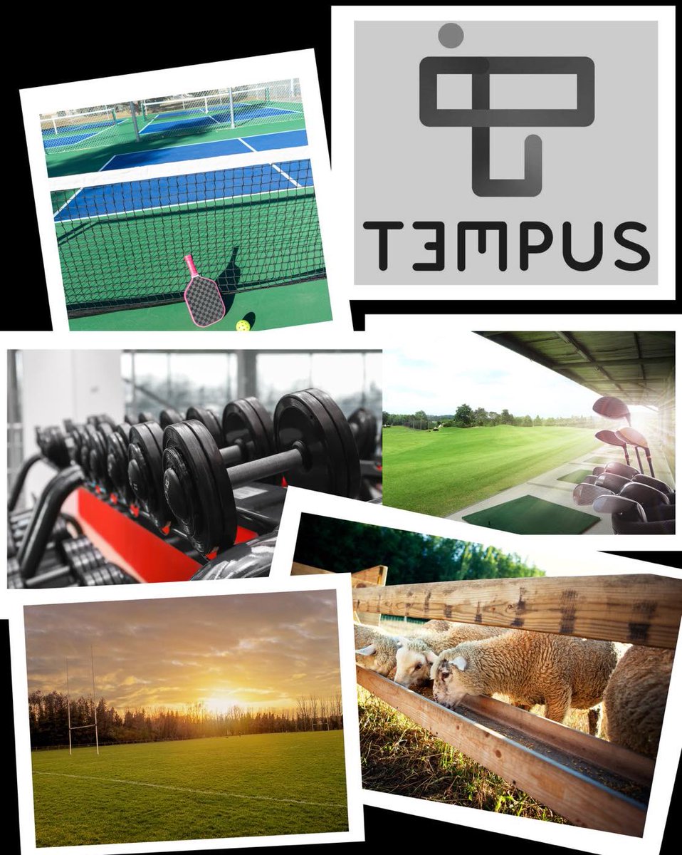 The Tempus Group tweet media