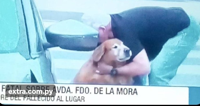 Raffa_Quinonez's tweet photo. @therealbuni Sálganse de twitter, quiero estar sólo...
El momento que bajó el perro, fue sólo cuándo el papá del joven lo fue a buscar... https://t.co/kWEO4Dmnsp